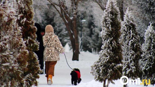 От -21 до +6: в Омске к выходным наступит резкое изменение погоды