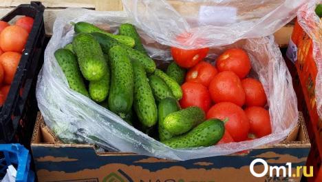 Огурцы за неделю подорожали на 6,1%: что ждать от цен к Новому году?