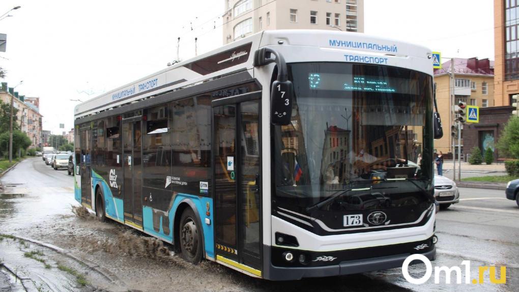 В омском Горсовете предложили создать единую службу контроля за безбилетниками