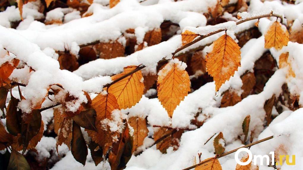 Новосибирцев предупредили о резком похолодании до -23 градусов на выходных