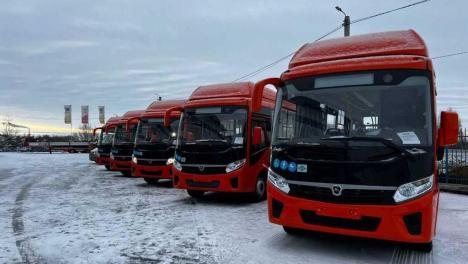 Оформлены в фирменном стиле: в Омск прибыли 55 новых автобусов среднего класса
