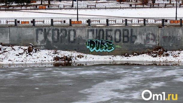 Снег, дождь и потепление: прогноз погоды в Омской области на выходные