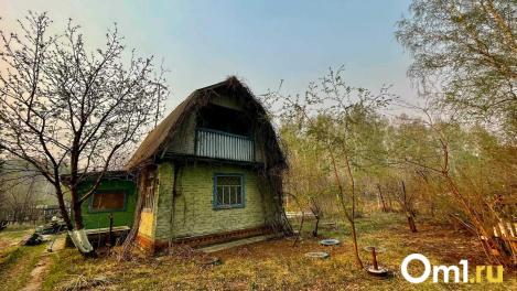 Омичам рассказали, как не лишиться дачи по глупости