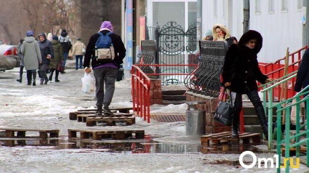 Зима отменяется? В Омск возвращаются дожди и плюсовая температура
