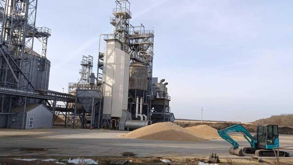 Направляется в 43 страны: экспорт агропродукции Омской области превысил 254 миллиона долларов