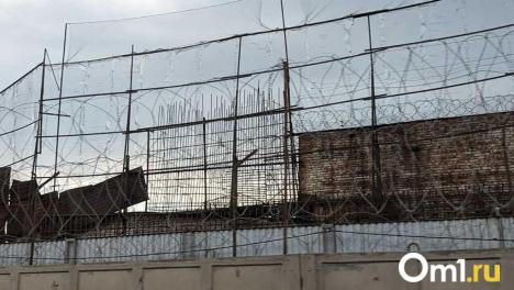 Попросил вызвать такси: в Омске осуждён мужчина, который избил незнакомца и натравил на него собаку