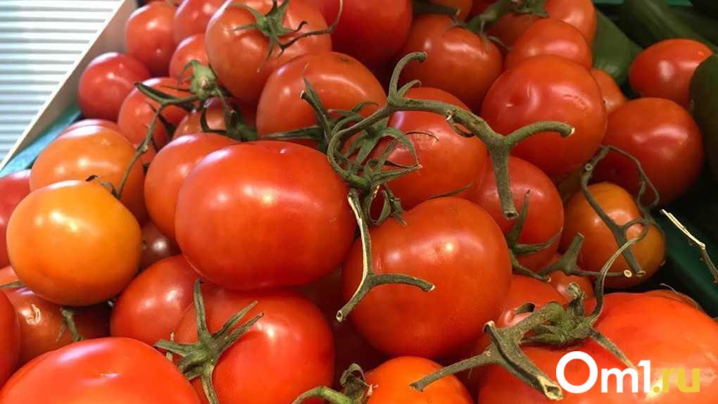 Более 20 тонн: в Омской области выявили заражение томатов опасным вирусом