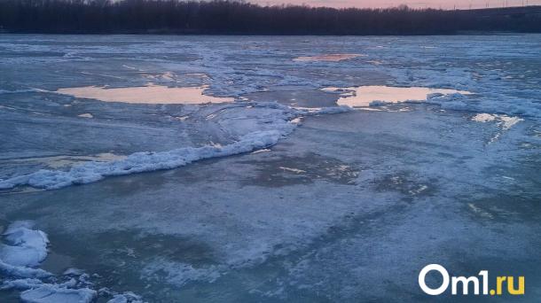 Сотни экстрасенсов лгали. Вспоминаем трагическую историю пропажи девушки из Омска