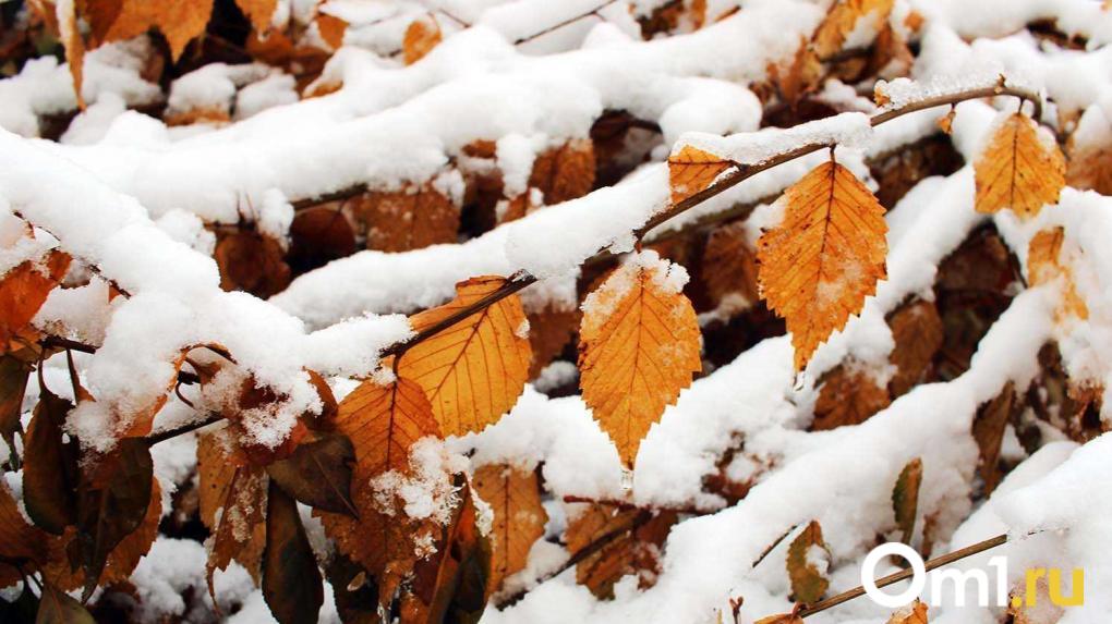 Небольшой снег и отменный гололёд: новосибирцам рассказали о погоде во вторник