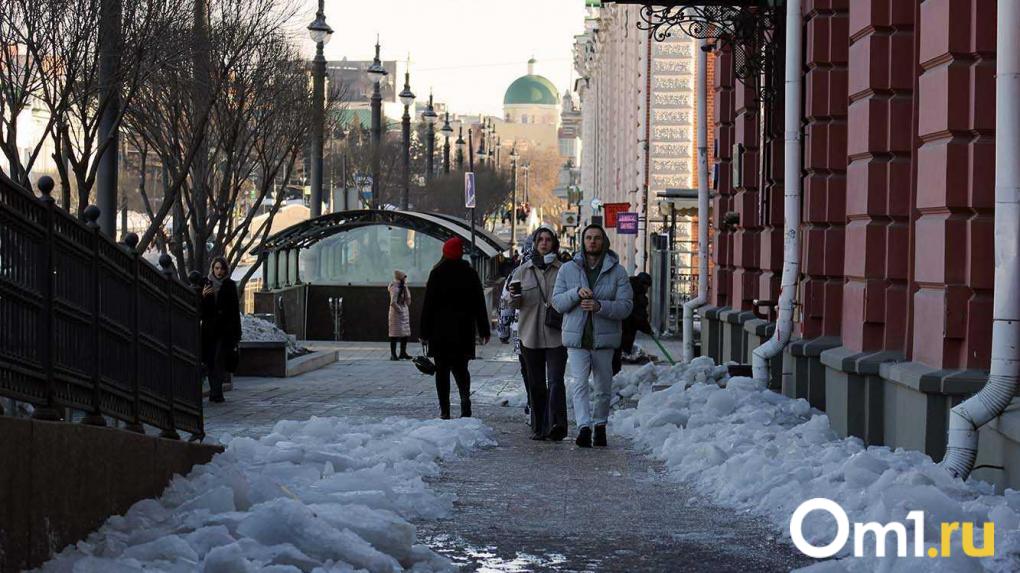 Из-за температурных качелей Омск ожидает страшная напасть