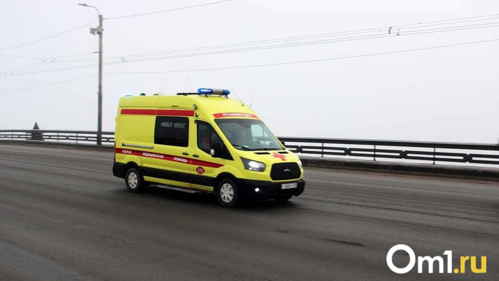 РАФ-2203 на постаменте: в Новосибирске открывают памятник советской скорой