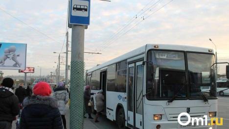 Автобусы-«гармошки» вернутся в Омск через два года
