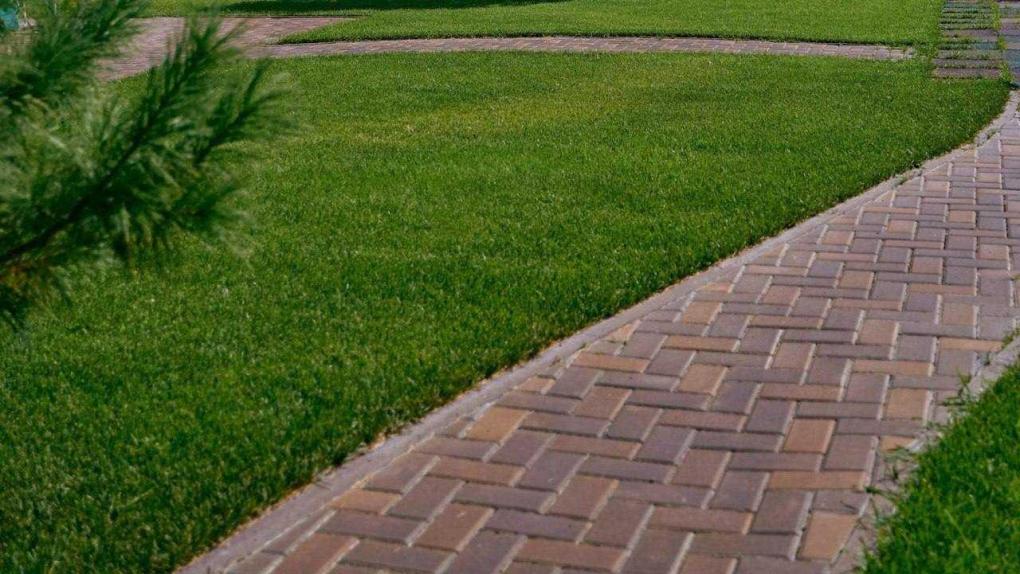 Для Омска купят газон площадью с футбольное поле