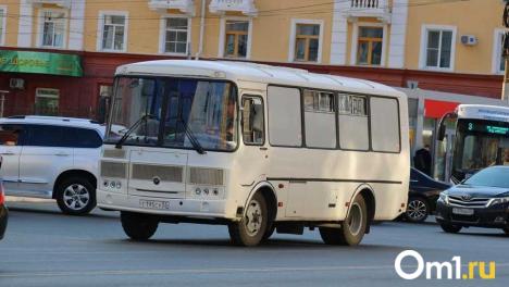 Многомиллионный долг: перевозчик в Омской области признан банкротом