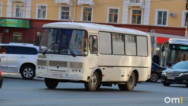 Многомиллионный долг: перевозчик в Омской области признан банкротом