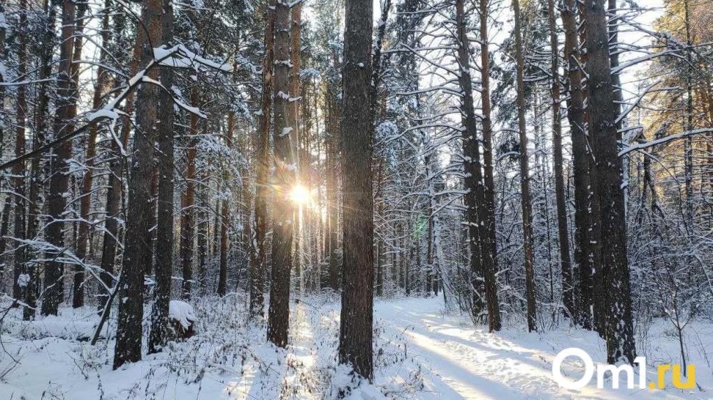 В Новосибирской области 20 ноября потеплеет до +5 градусов