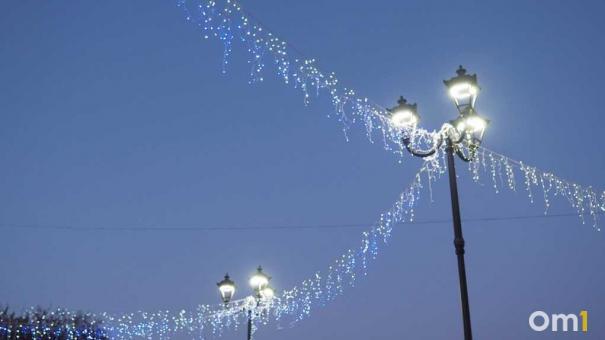 Омск украсят светящимися птицами к Новому году