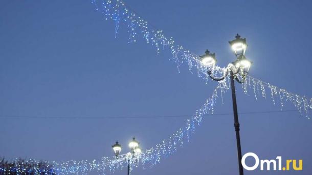 Омск украсят светящимися птицами к Новому году