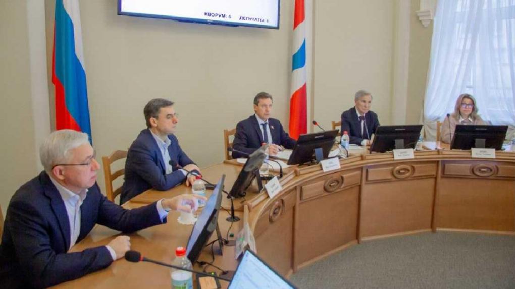 Комитет Заксобрания согласовал выделение дополнительных 48 миллионов на омскую медицину