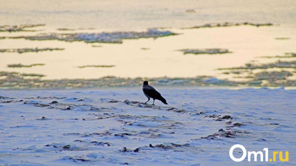 Омичам рассказали, почему опасно выходить на тонкий лёд