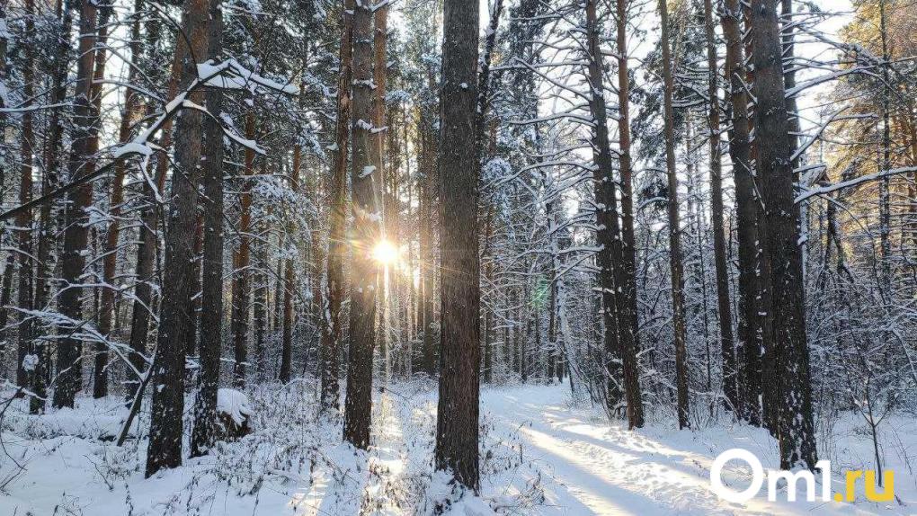 Новосибирск накроет гололёдом и снегом: синоптики сделали прогноз на выходные
