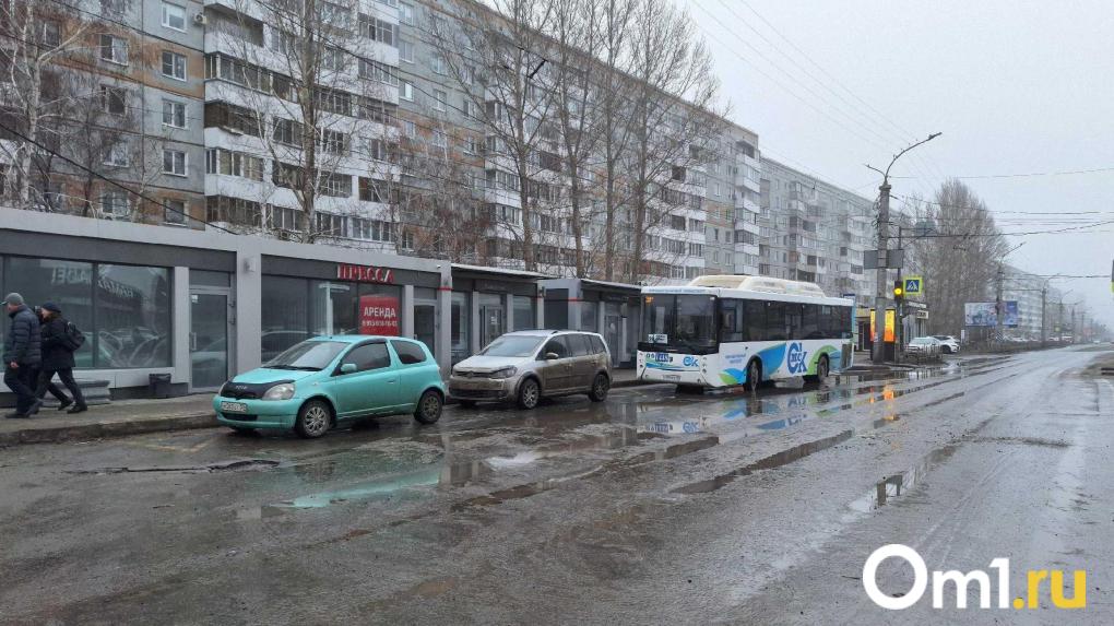 Когда в Омске прекратится слякоть: синоптики предсказывают наступление зимы с декабря