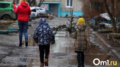 На выходных в Омске потеплеет до +6 и пойдёт дождь