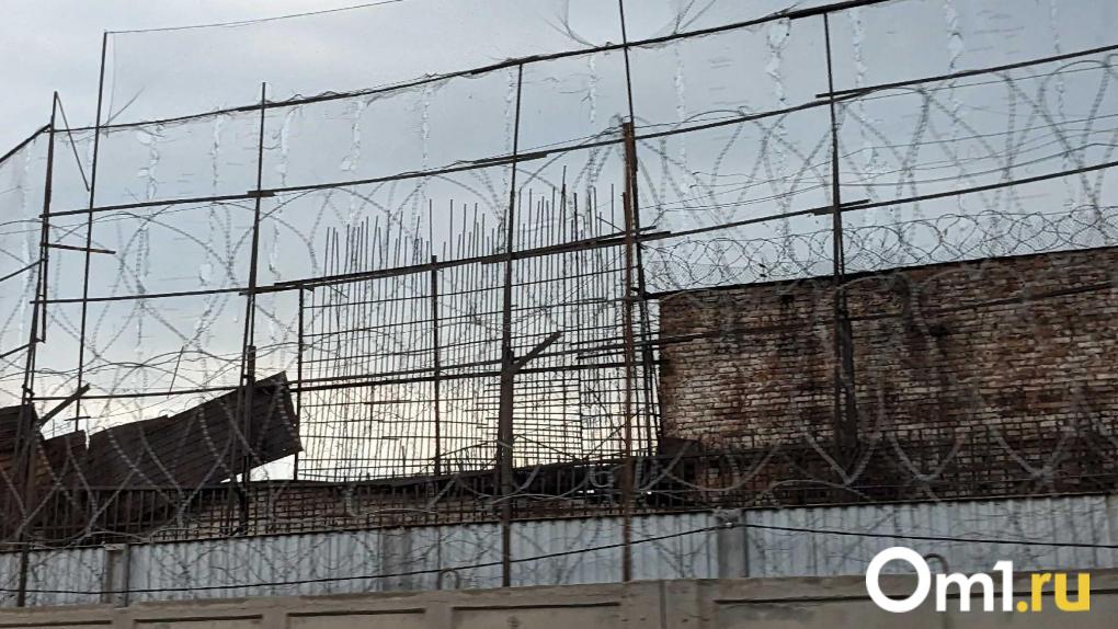 Омич жестоко убил пенсионерку, которая пустила его пожить в квартиру