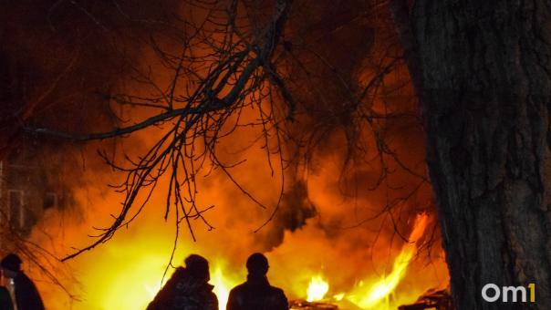 Новосибирская и Омская области создают единое пространство для борьбы с лесными пожарами