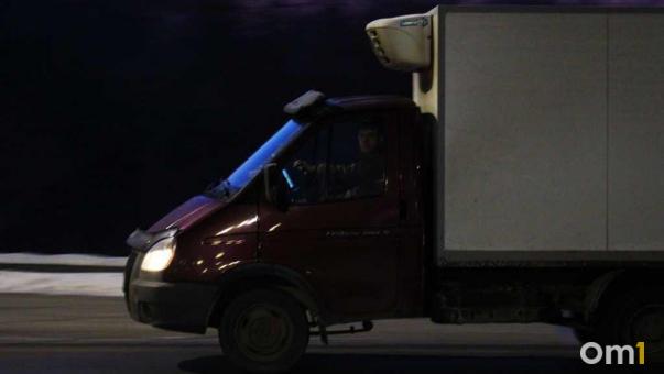 Более 20 тонн: В Омск пытались привезти курицу и конину без документов