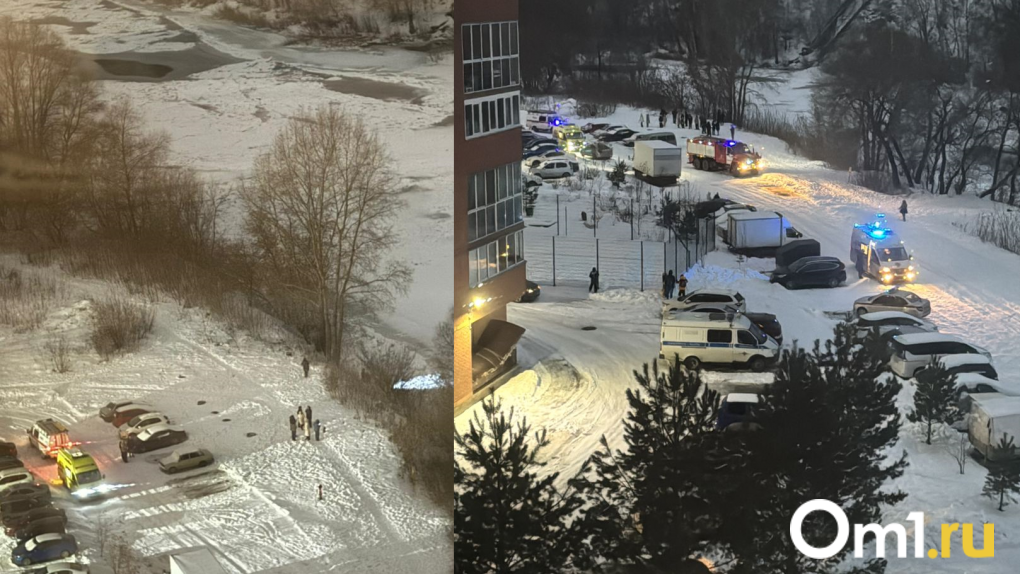 Жители Новосибирска спасли ребёнка, провалившегося под лёд на реке Иня