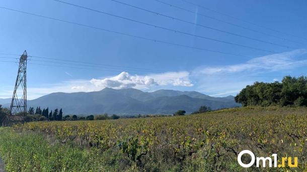 На границе с Казахстаном задержали десятки тонн «загадочного» винограда