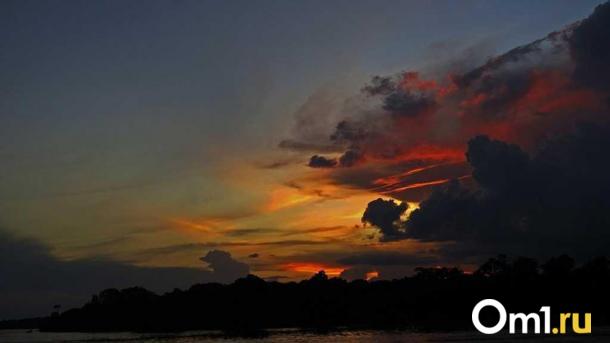 В конце ноября в Омскую область придёт новая напасть