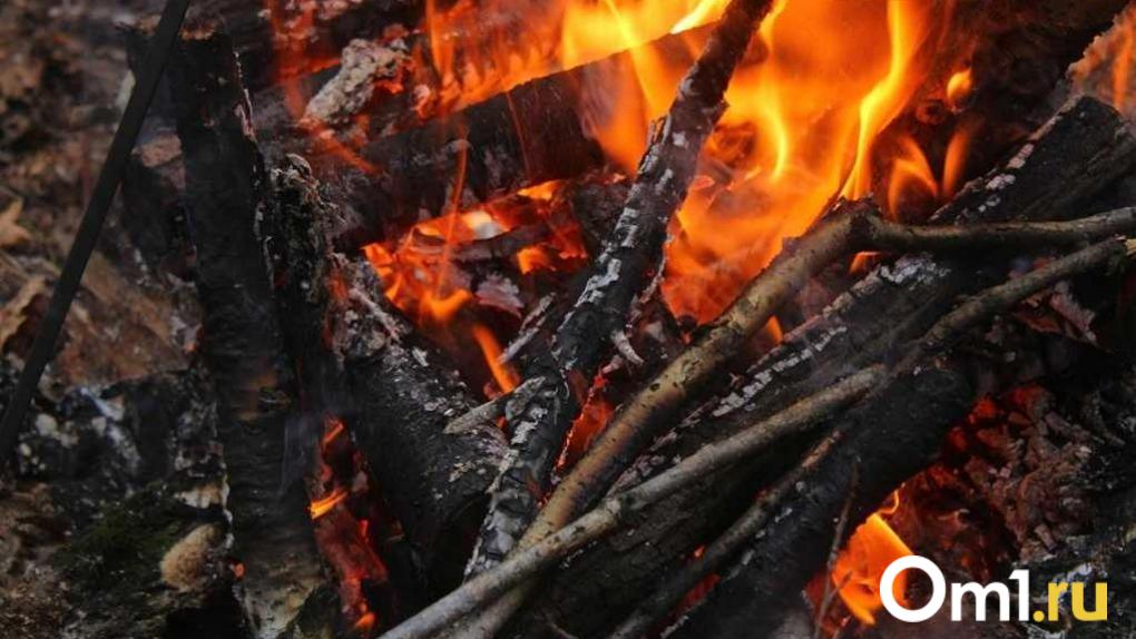 В Омской области насчитали более 730 территорий с угрозой природных пожаров