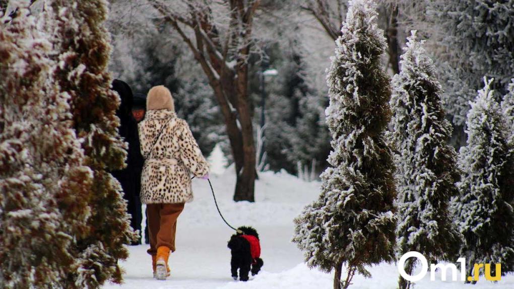 Снегопады и тепло: синоптики дали прогноз погоды в Омске на следующую неделю