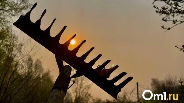 Омич лишился денег, пытаясь купить дачу