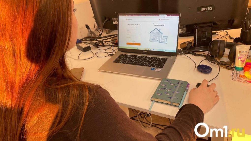 Быстро и удобно: как платить за электричество не выходя из дома