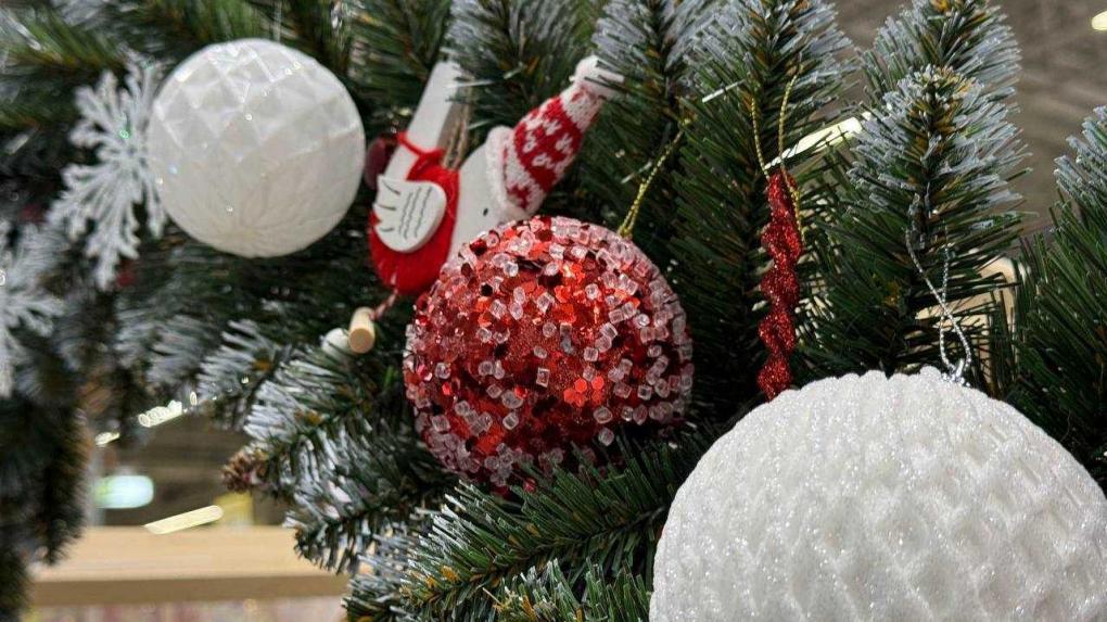 Союз отцов раскритиковал дорогие новогодние корпоративы в Новосибирске