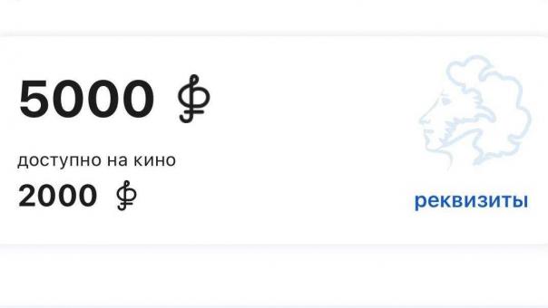 Молодые сибиряки оформили более 300 тысяч Пушкинских карт-2026