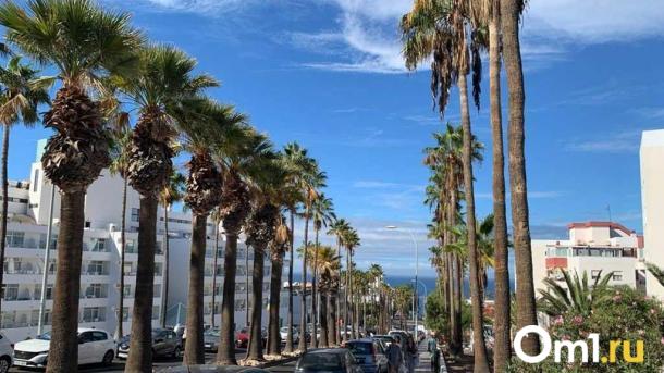 Когда бронировать туры в новогодние праздники? Омичам назвали топ-3 направления