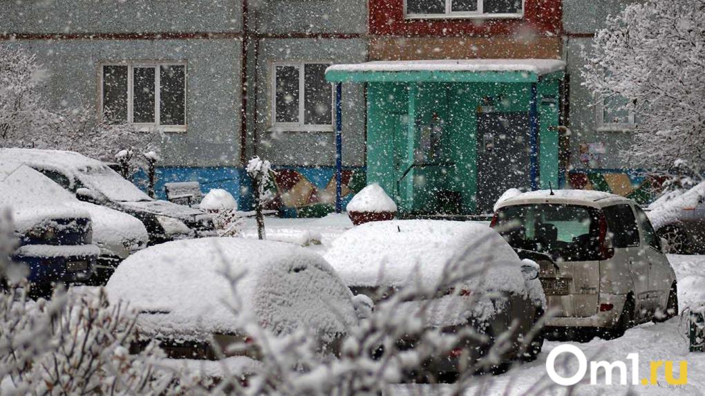 Стало известно, когда в Омске наконец выпадет снег
