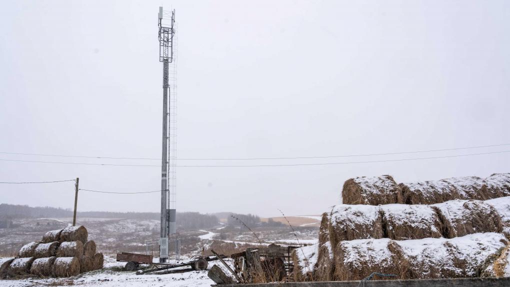 Оператор Т2 расширил покрытие в Омской области: связь получили еще 17 малых поселений