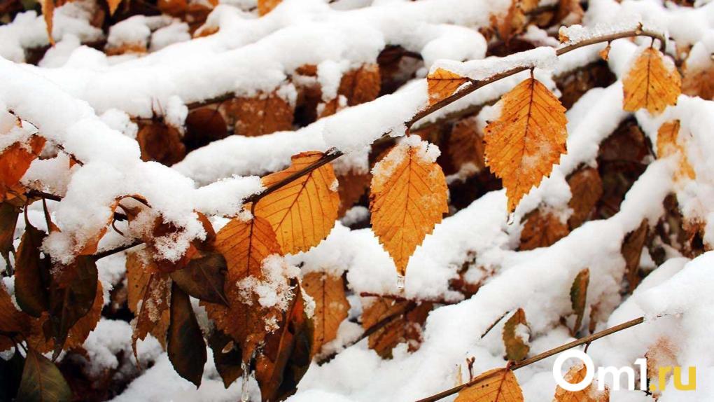 В Омской области отменили режим ЧС, который вводили из-за снегопада