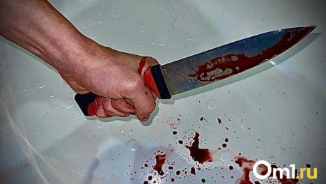 В Омской области мужчину пырнули ножом из-за того, что его жена упала на льду