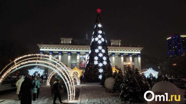 В Новосибирск на продажу привезли 1830 елей из Кемеровской области
