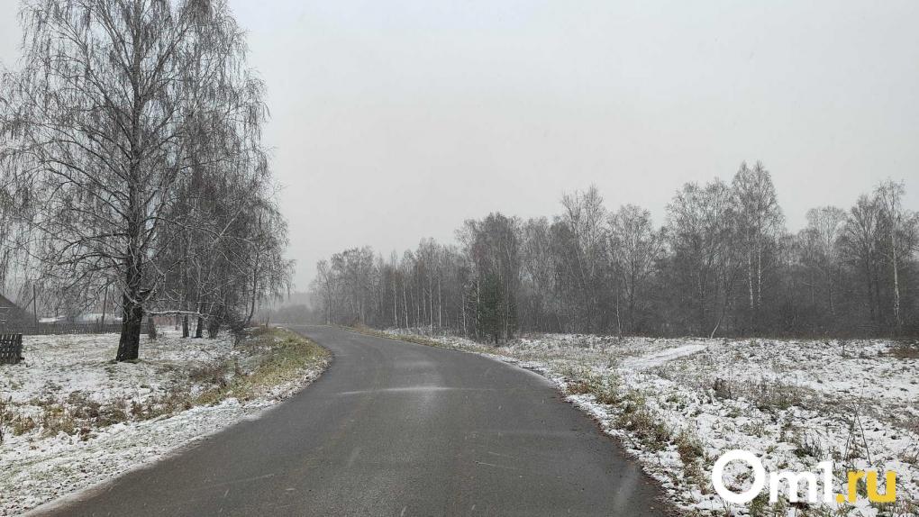 Синоптики предупредили новосибирцев о снегопаде и скользких дорогах