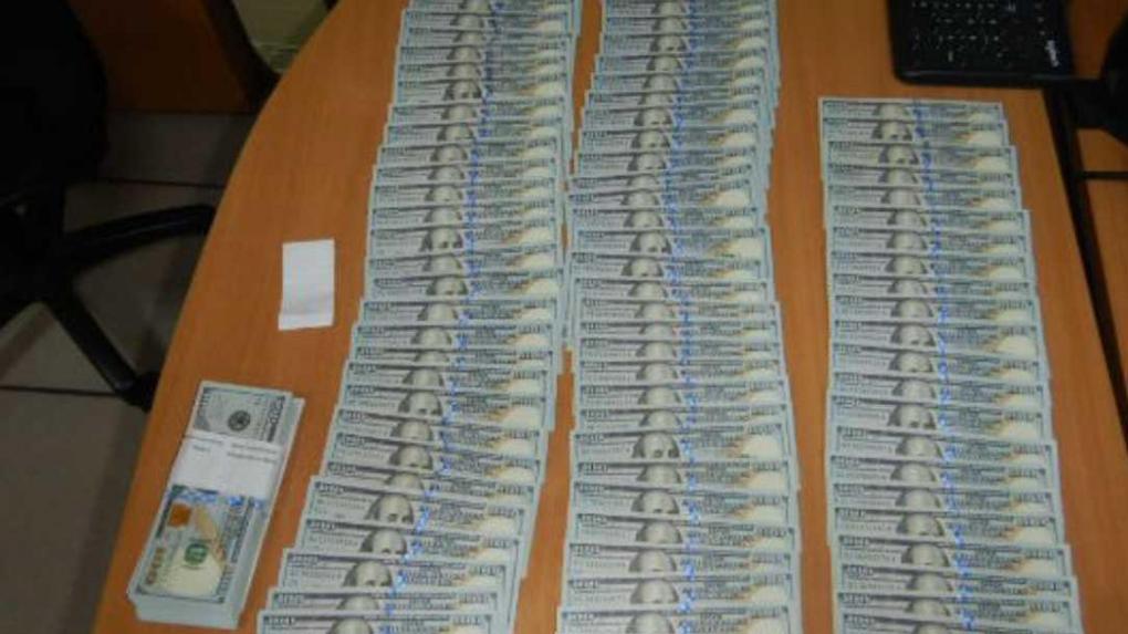 Служебная собака Кодилак нашла 20 тысяч долларов в аэропорту Толмачёво