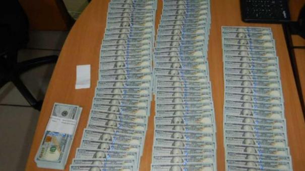 Служебная собака Кодилак нашла 20 тысяч долларов в аэропорту Толмачёво