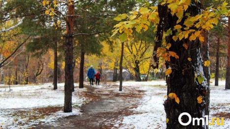 Омичам предлагают проголосовать за проекты для благоустройства в 2026 году