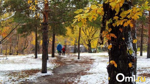 Омичам предлагают проголосовать за проекты для благоустройства в 2026 году